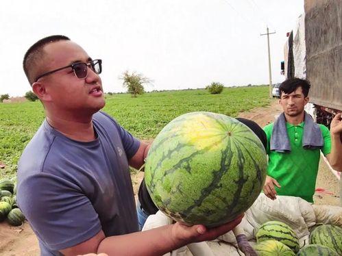 吃瓜避雷针,轻松识别网络谣言，守护你的信息安全