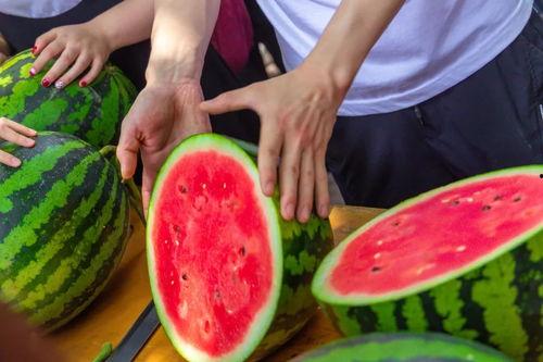 吃瓜小熊深圳大学