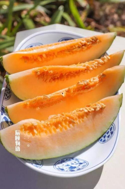 瓜娃子吃早饭,美味与欢笑的早晨