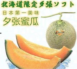 梦九吃瓜,揭秘娱乐圈幕后故事