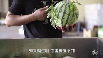 白银区吃瓜,吃瓜群众的热议焦点
